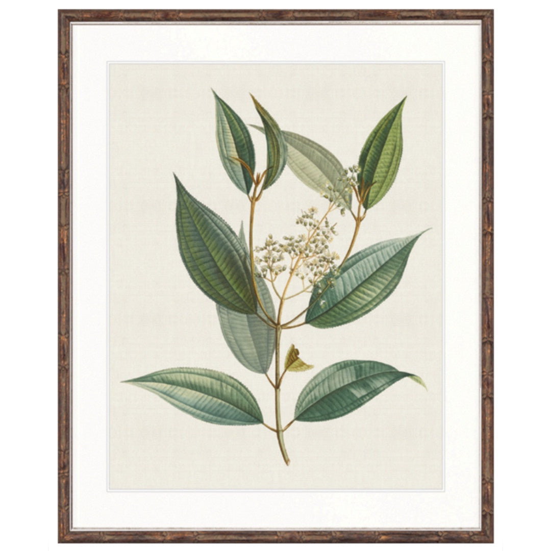 Floral Elegance VIII | Brown Bamboo Frame