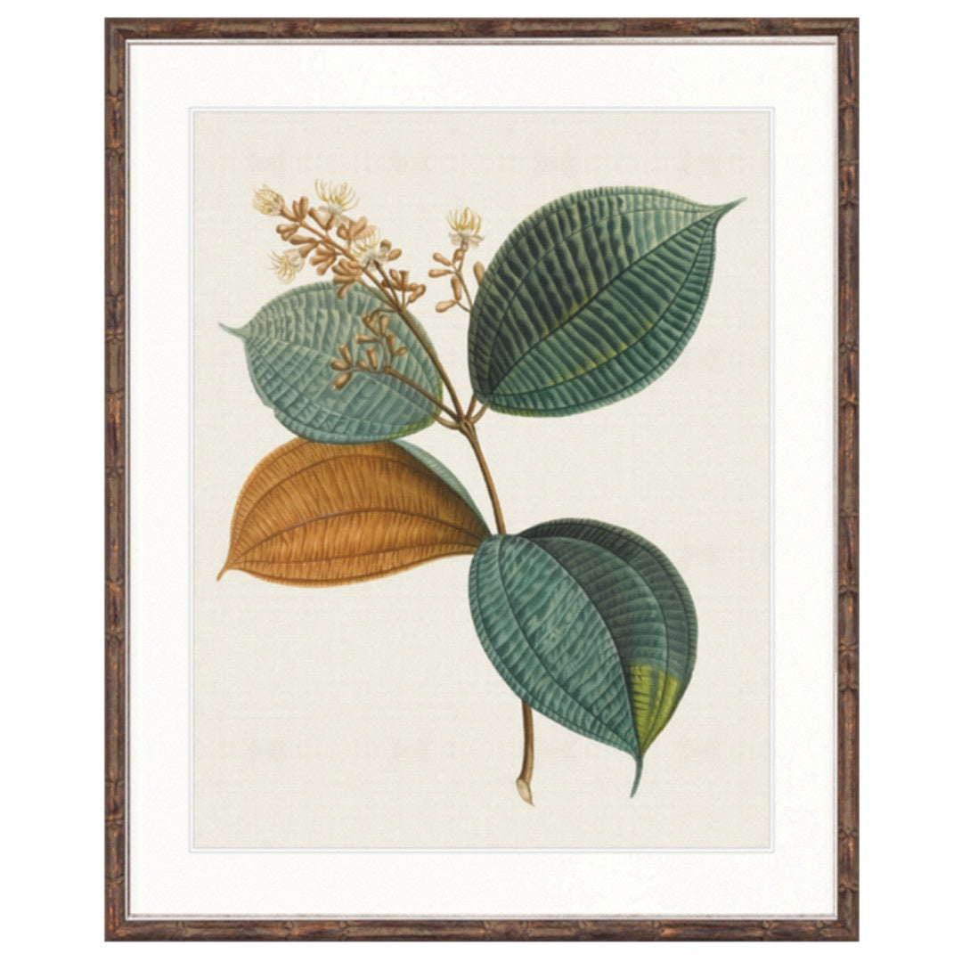 Floral Elegance XI | Brown Bamboo Frame