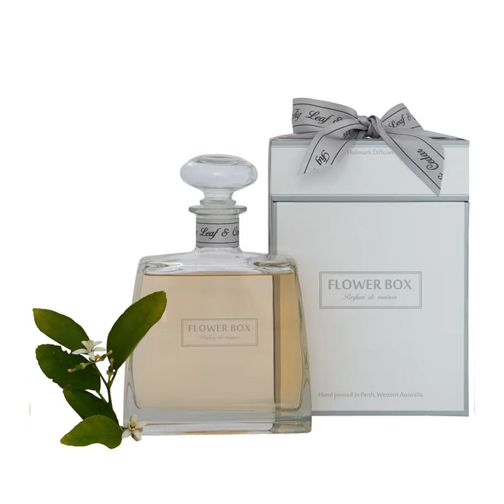 Flower Box | Hallmark Diffuser 12 months | Fig Leaf & Cedar