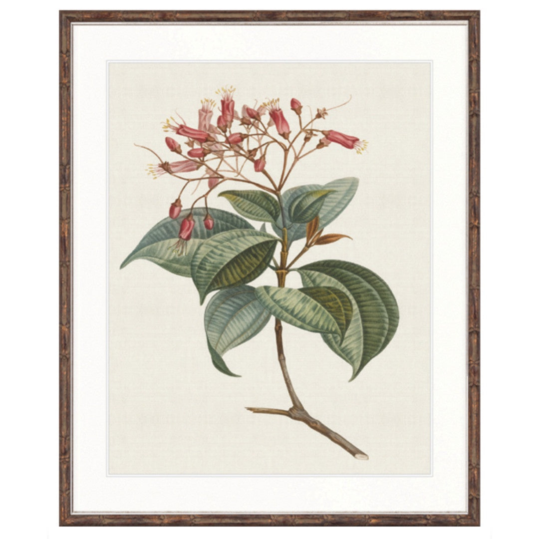 Floral Elegance III | Brown Bamboo Frame