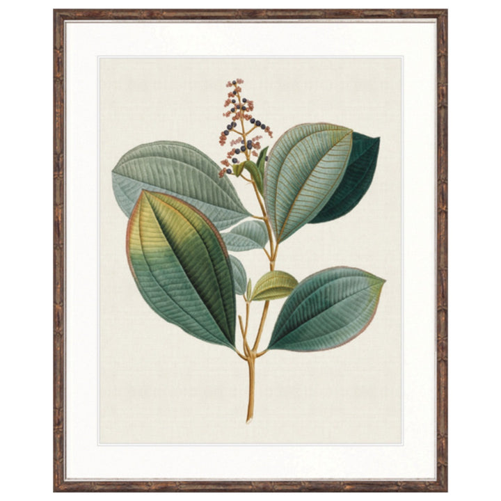 Floral Elegance V | Brown Bamboo Frame