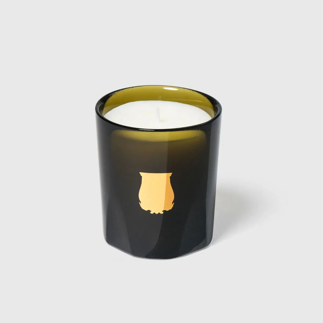 Cire Trudon Petit Candle | Gabriel 70g