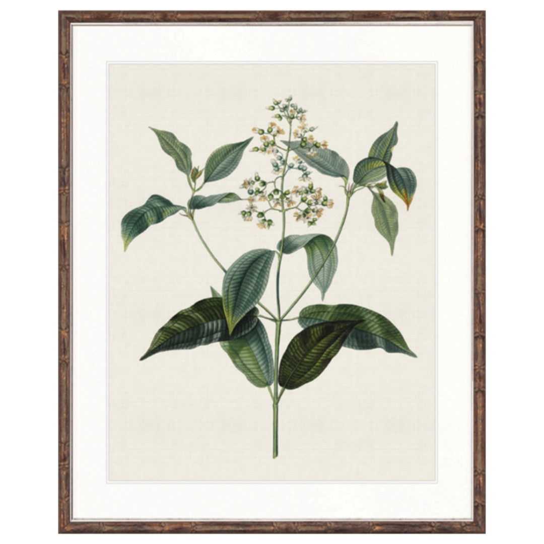 Floral Elegance IX | Brown Bamboo Frame