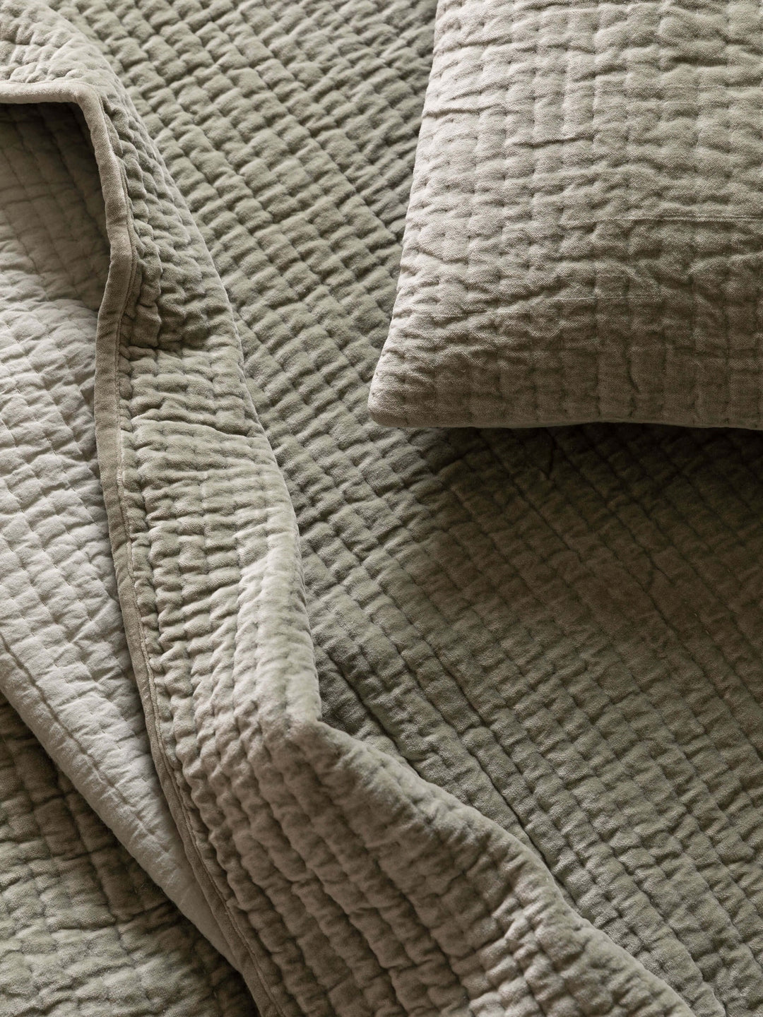 Cino Standard Pillowcase PAIR | Fern