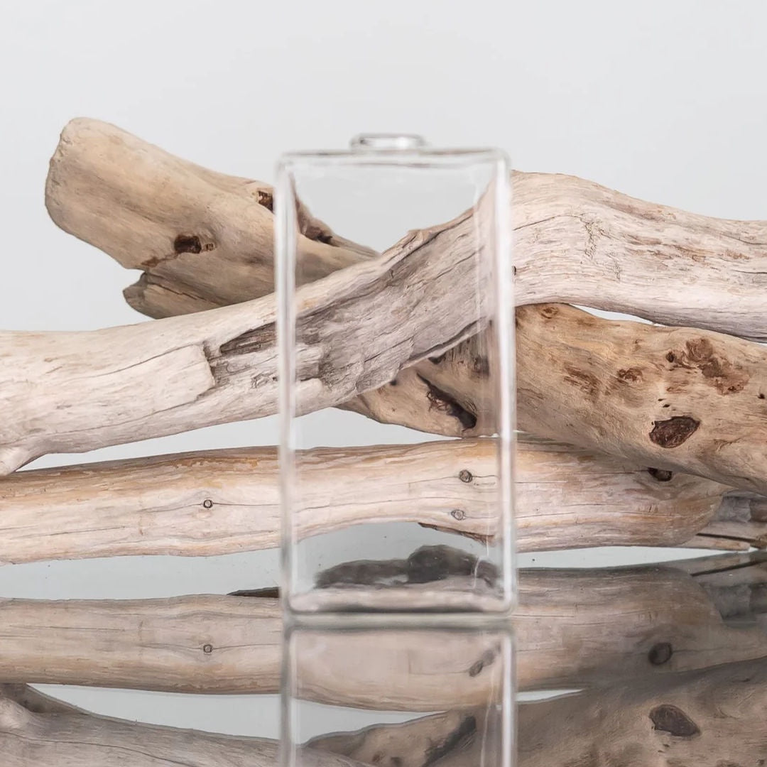 Everlasting Glass Bondi Vase