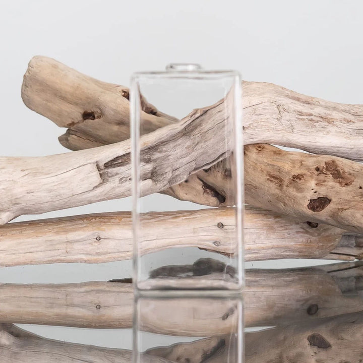 Everlasting Glass Bondi Vase