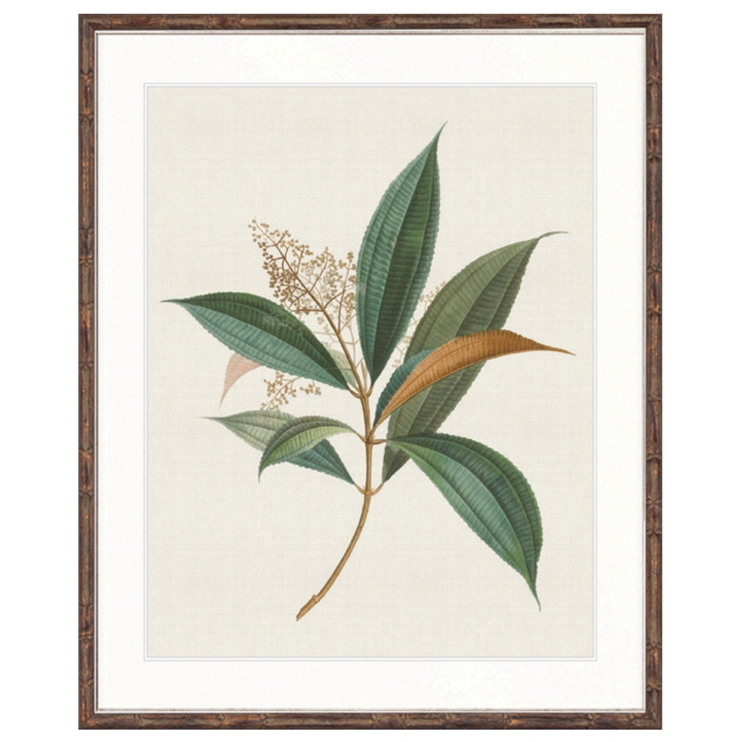 Floral Elegance I | Brown Bamboo Frame
