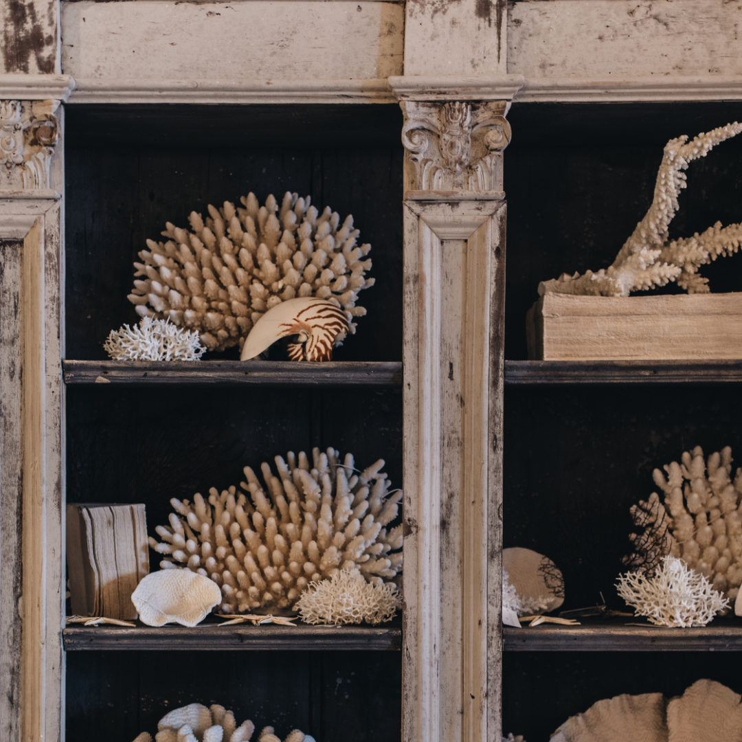 Italian Antique Grand Library Bookshelf | Painted Chestnut Wood | Circa 1895 (BOWRAL)