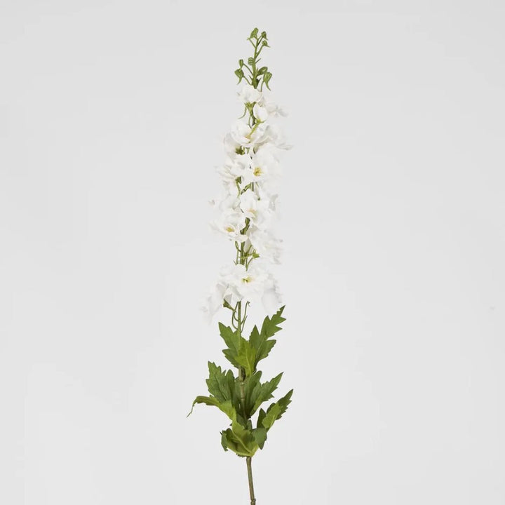 Belle Delphinium | White 50cm