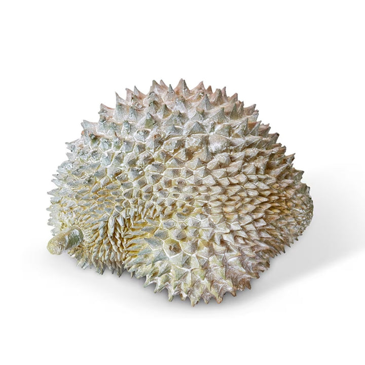 Durian Natural Sculpture