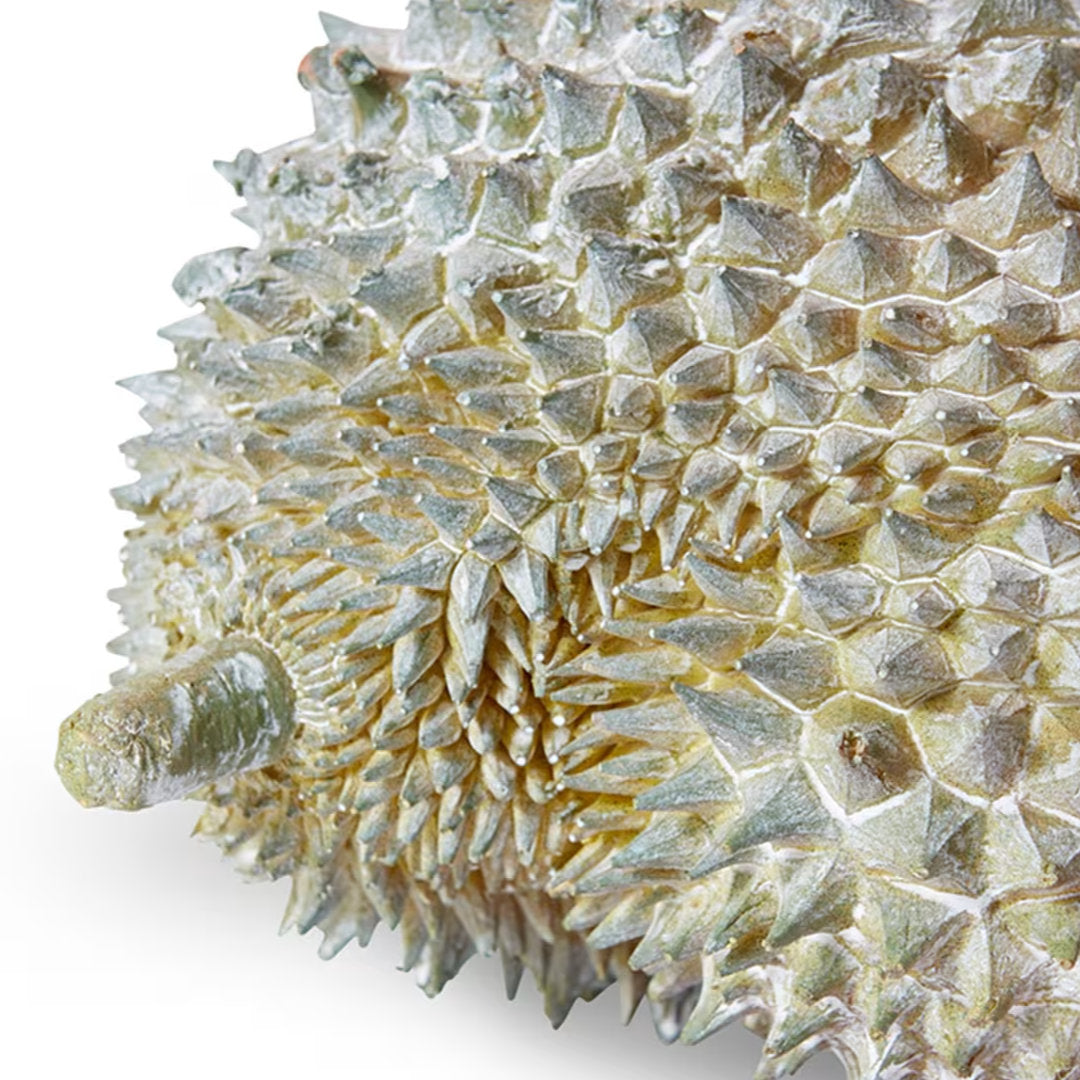 Durian Natural Sculpture
