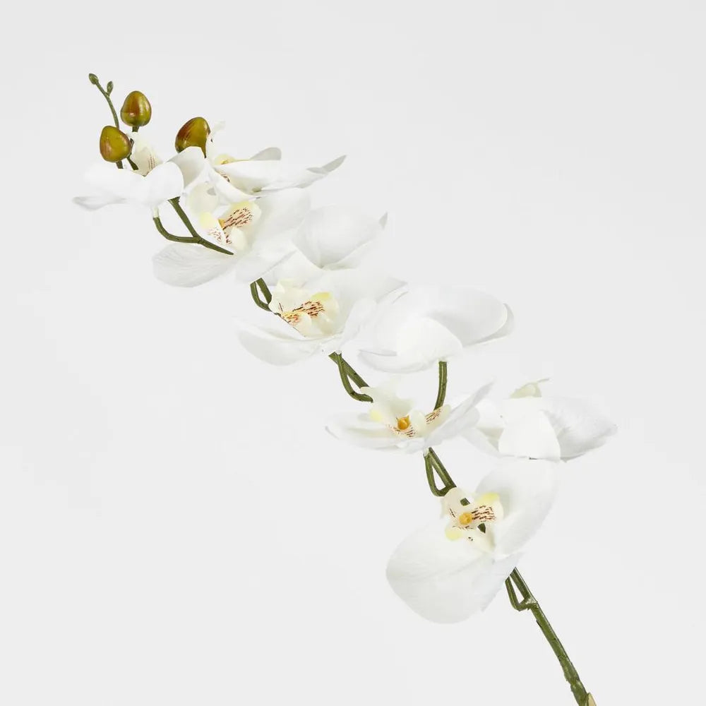 Faux Phalenopsis Orchid Stem | White