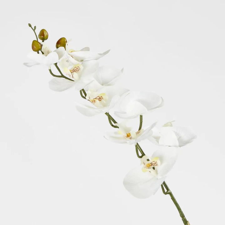 Faux Phalenopsis Orchid Stem | White