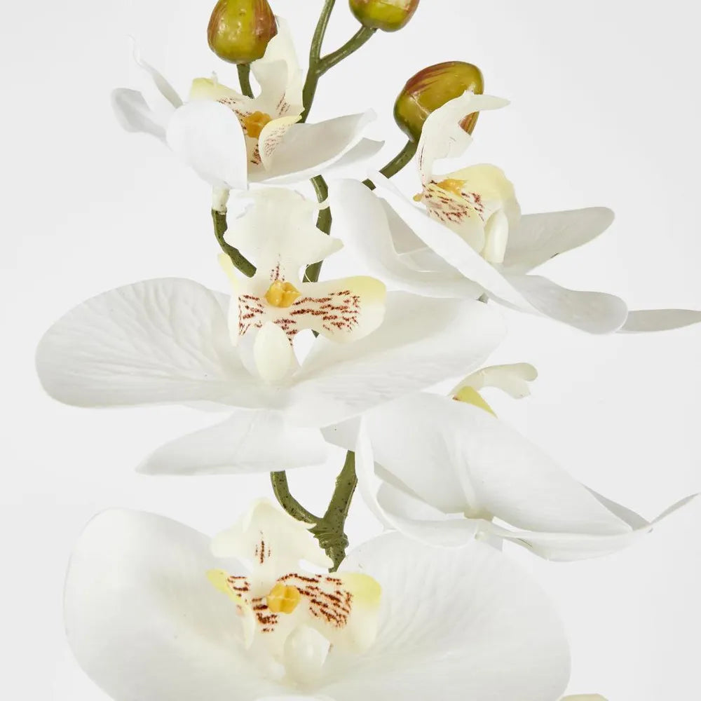 Faux Phalenopsis Orchid Stem | White