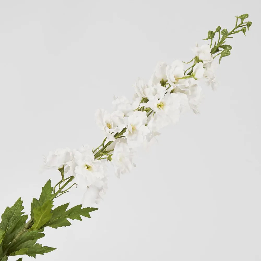 Belle Delphinium | White 50cm