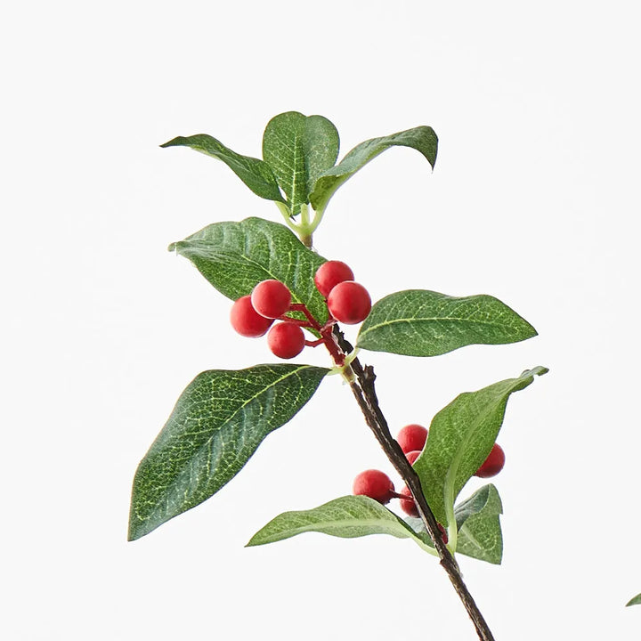 Berry leaf spray | Red & Green