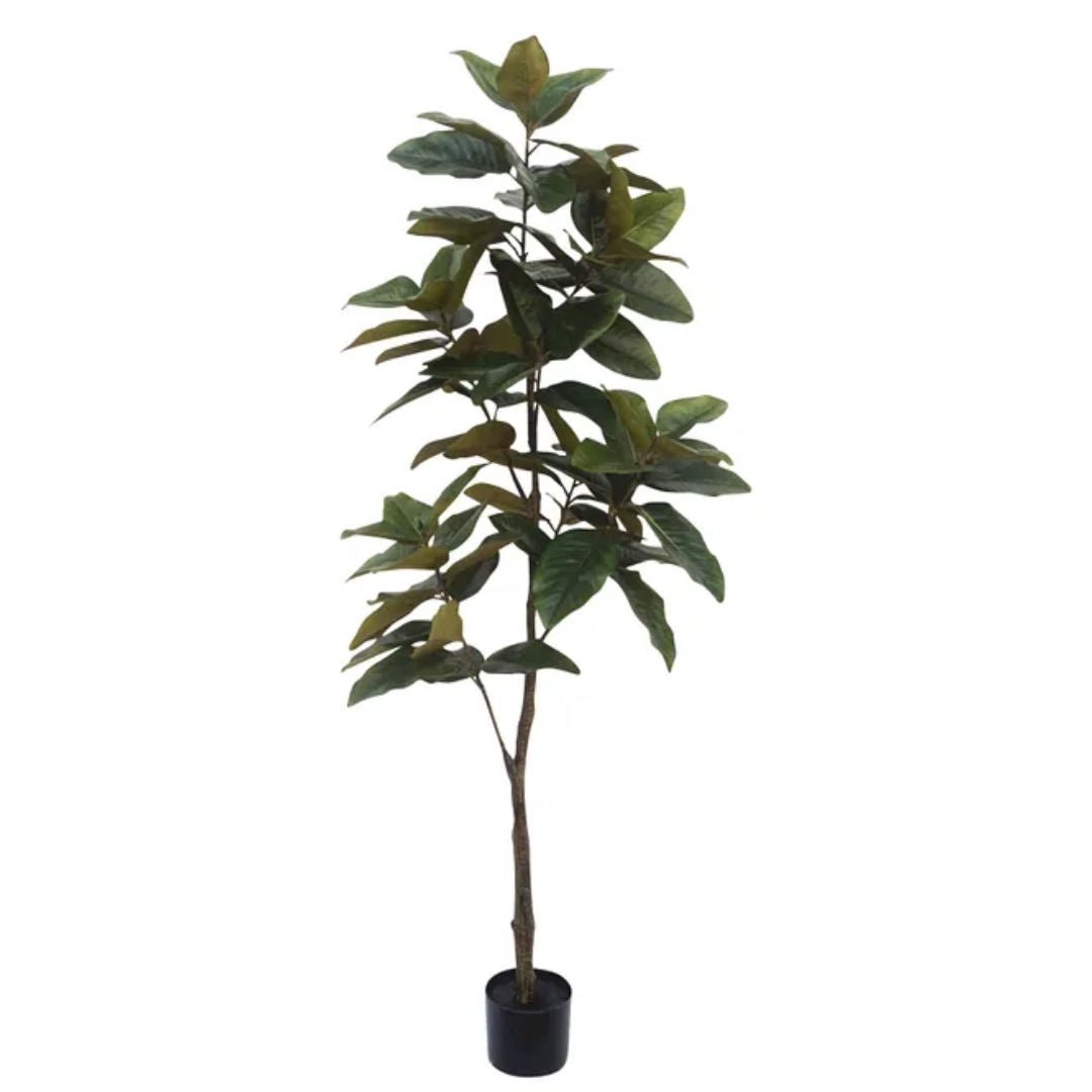 Faux Magnolia Tree | Real Touch | 1.7m - Suzie Anderson Home