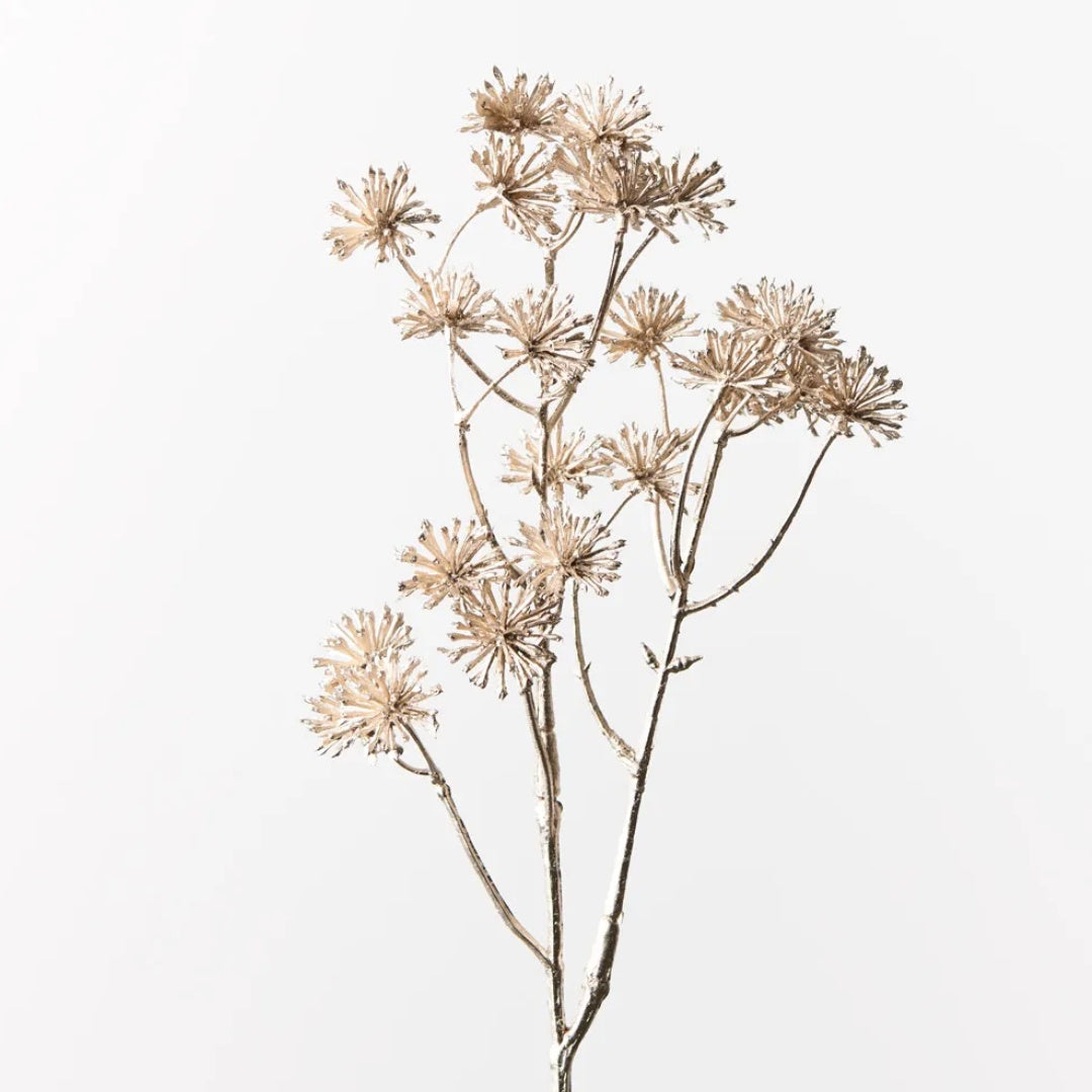 Aralia Metallic Spray | Champagne