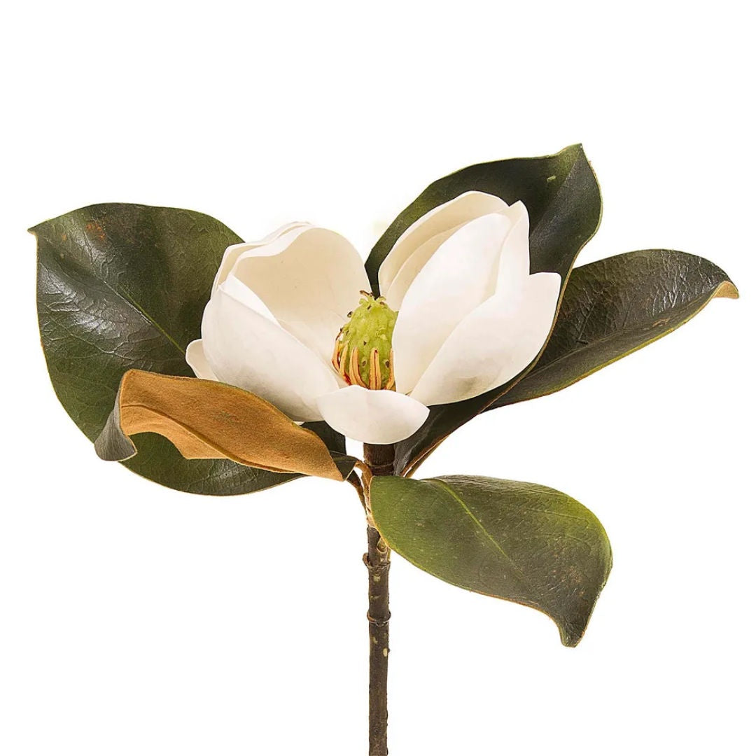 Magnolia | Short Stem | 60cm | White