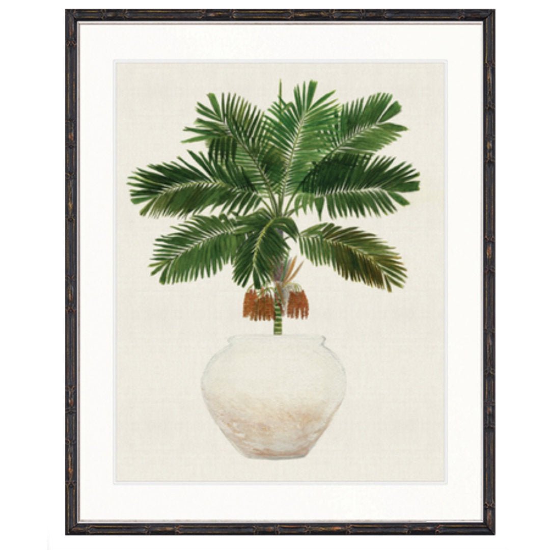 Palm Beauty II | Faux Black bamboo Frame - Suzie Anderson Home