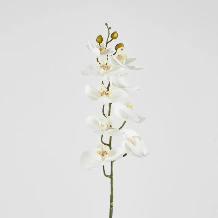 Faux Phalenopsis Orchid Stem | White