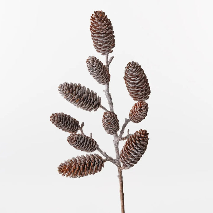 Pine Cone Glitter Spray