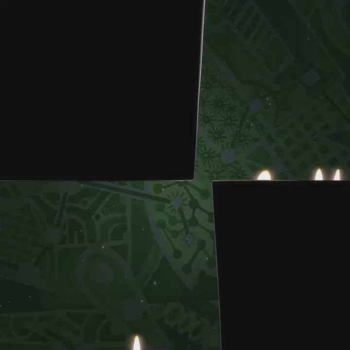 Trudon Fir Candle | 270g | Holiday 2025