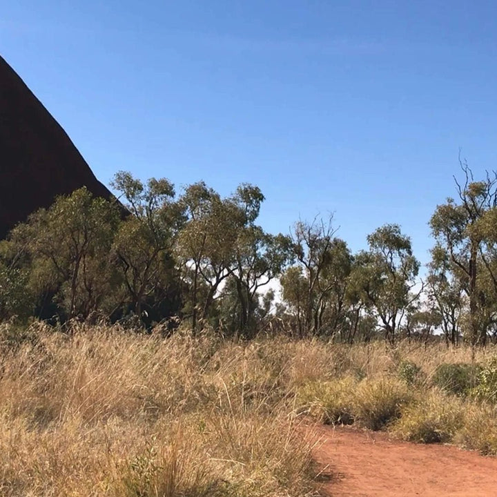 Red Centre Candle | Australian Botanicals - Suzie Anderson Home