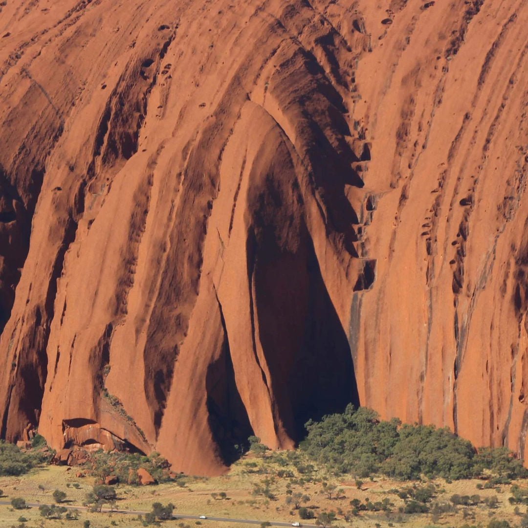 Red Centre Candle | Australian Botanicals - Suzie Anderson Home