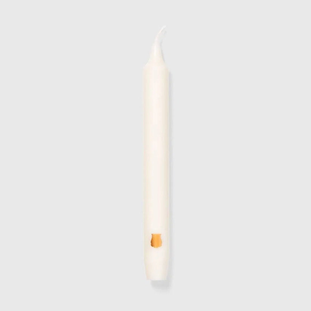 Trudon | Madeleine 6pk Taper Candle | White - Suzie Anderson Home