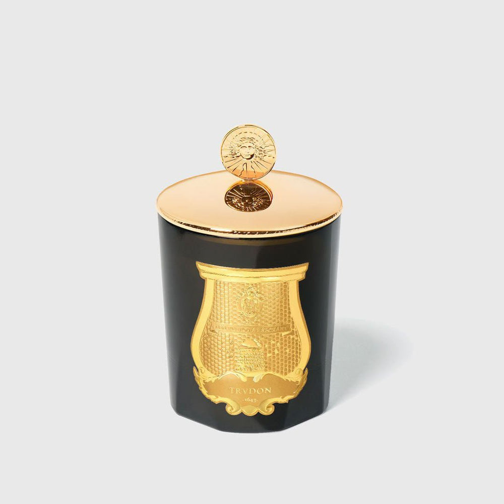 Trudon | Solis Rex Louis XIV Candle Topper | Polished Bronze - Suzie Anderson Home