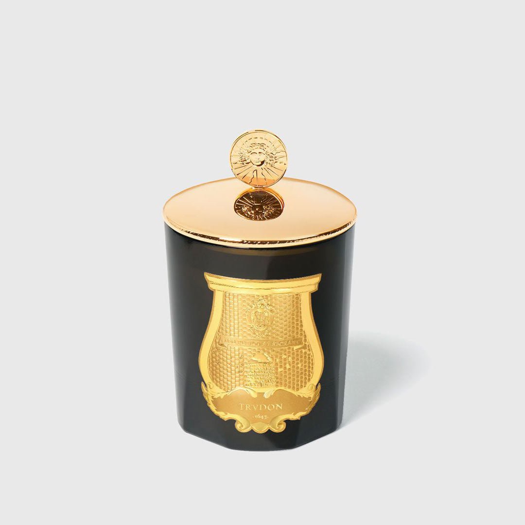Trudon | Solis Rex Louis XIV Candle Topper | Polished Bronze - Suzie Anderson Home