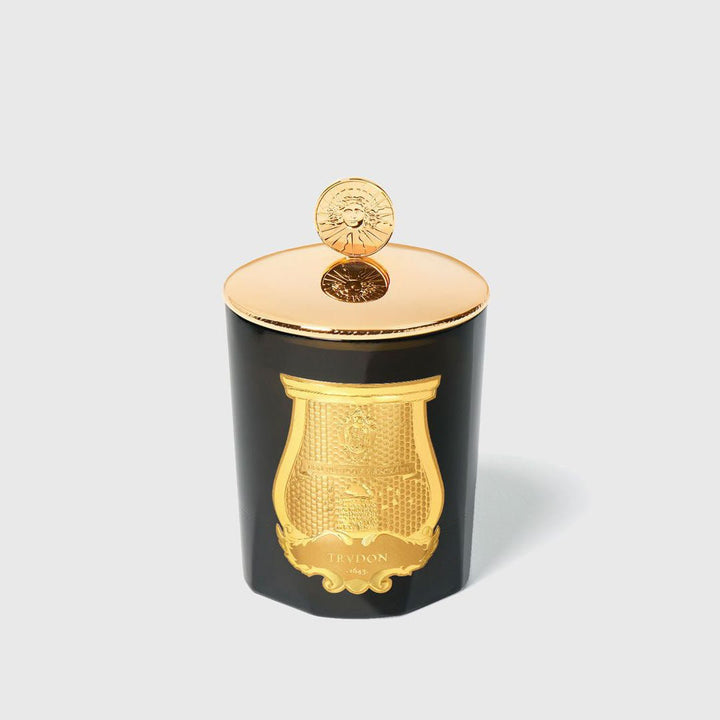 Trudon | Solis Rex Louis XIV Candle Topper | Polished Bronze - Suzie Anderson Home
