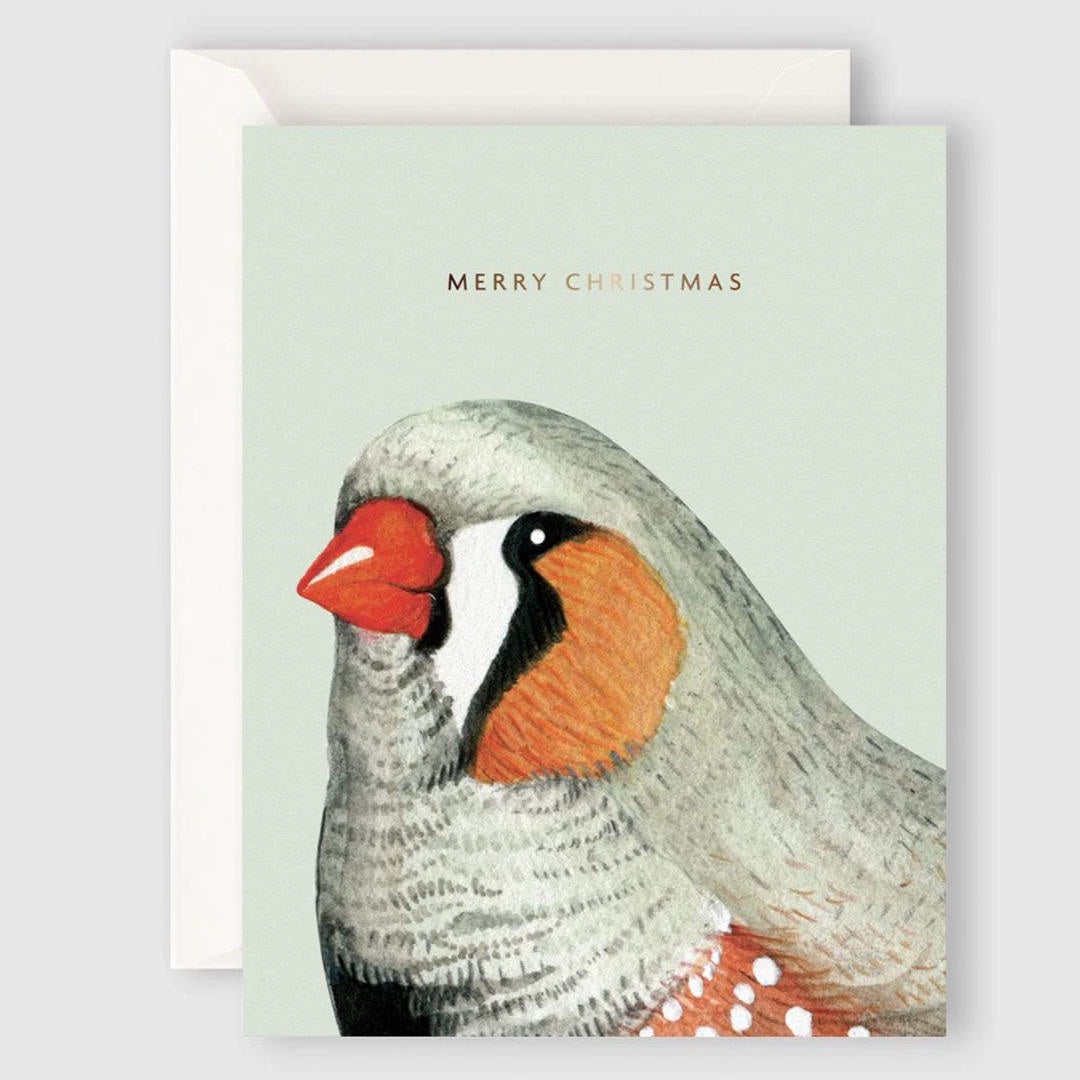 Merry Christmas Bird | Father Rabbit Card