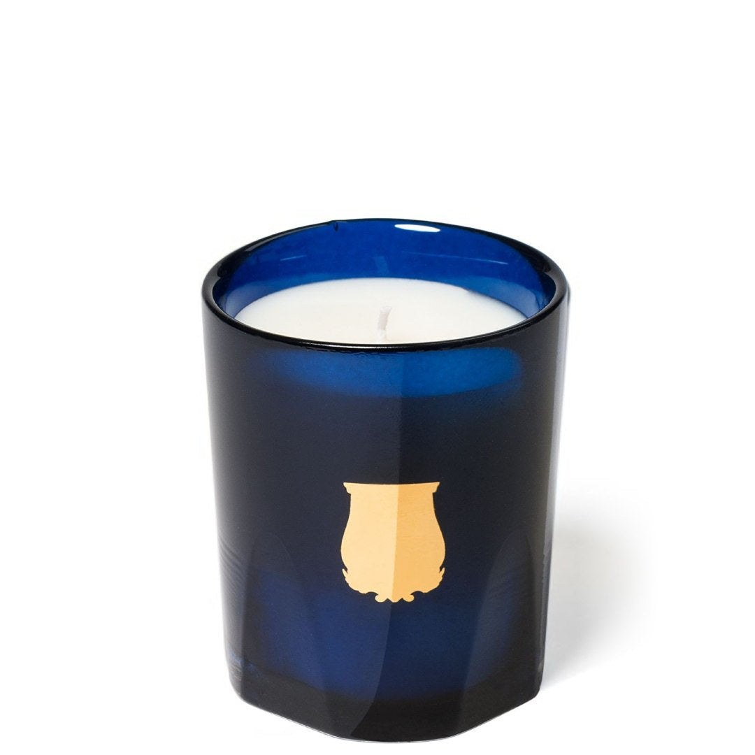Trudon Petite Candle | Salta 70g | Grapefruit essence