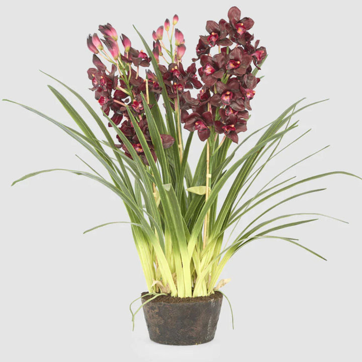 Faux Cymbidium in Giant Paper Pot | 1.1m Burgundy