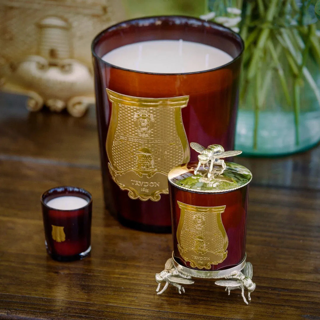 Trudon Petite Candle | Cire 70g |  Beeswax Absolute