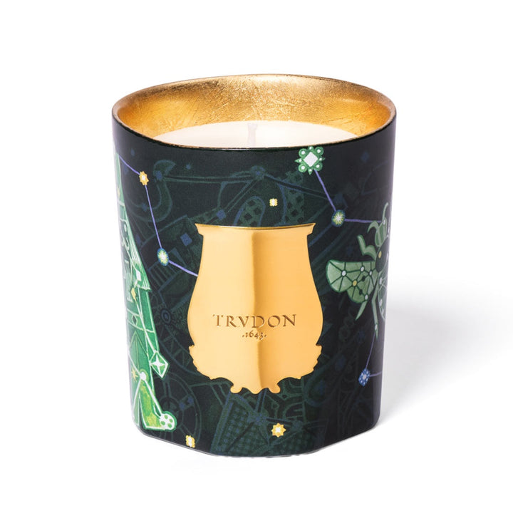 Trudon Fir Candle | 270g | Holiday 2025