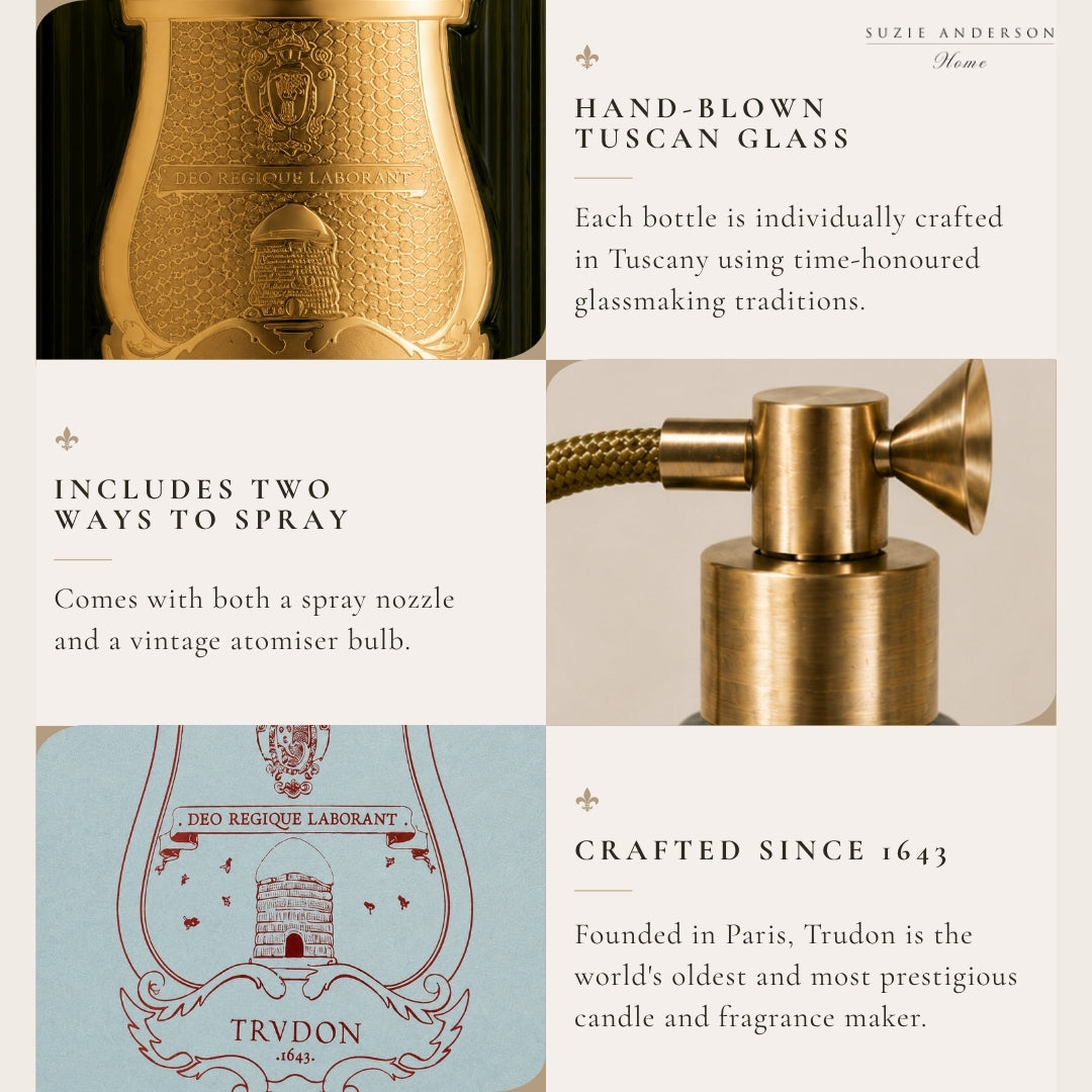 Trudon Ernesto Room Spray | 375ml | Leather and Tobacco