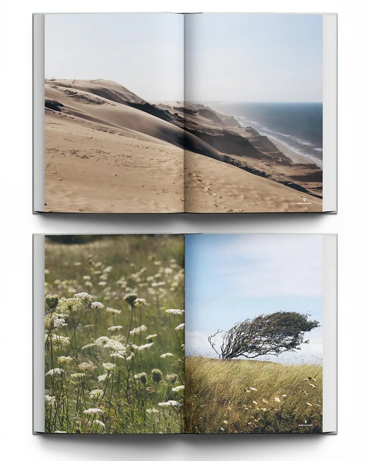 Jeanne dArc Living | Small detours, Big Experiences Book