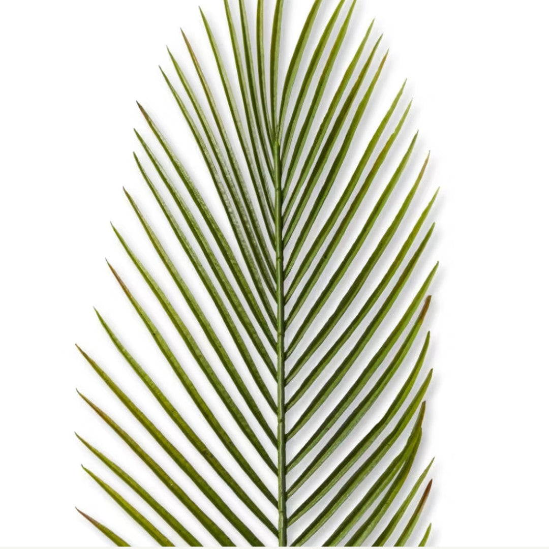Faux Cycad Leaf Stem | Green | 88cm
