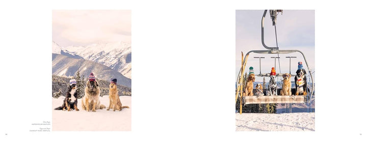 Gray Malin: Dogs | Photography Book