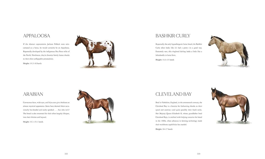 Horse Country | Kathryn O&