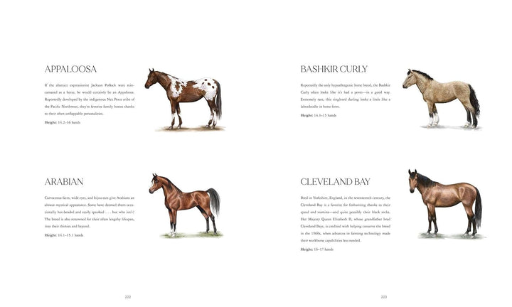 Horse Country | Kathryn O&