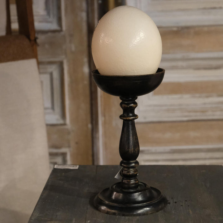 Cup Base for Visual Display | Large