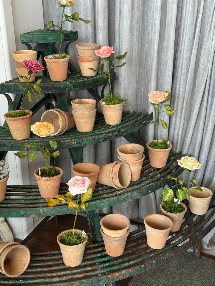 Vintage Terracotta Single Pot | Chartres