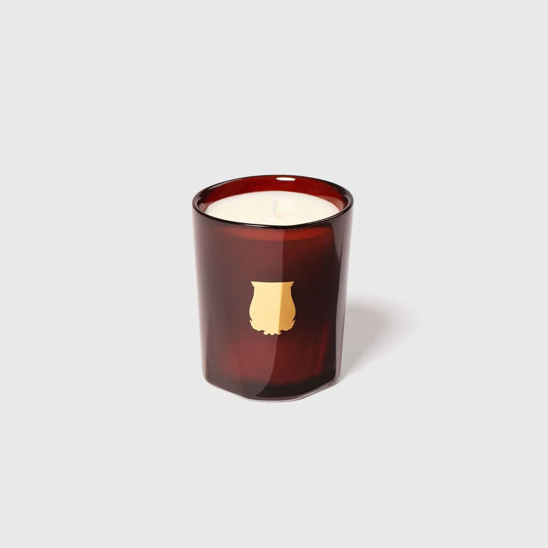 Cire Trudon Petit Candle | Cire 70g