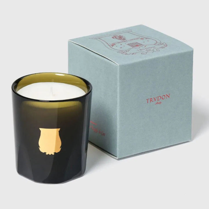 Trudon Petite Candle | Ernesto 70g | Leather and Tobacco
