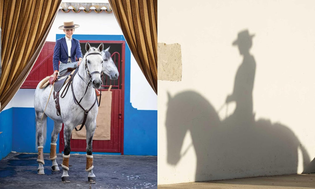 Horse Country | Kathryn O&