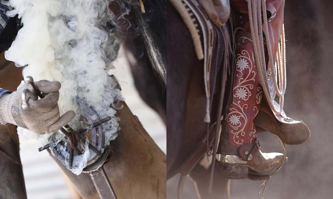Horse Country | Kathryn O&